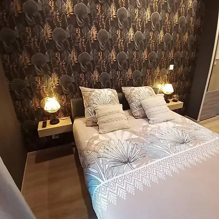 Апартаменты L'oasis…appt Balneo-terrasse. Труа