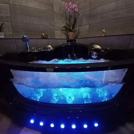 Апартаменты L'oasis…appt Balneo-terrasse. Труа